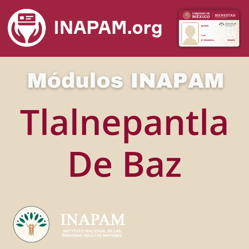 Modulos INAPAM Tlalnepantla De Baz